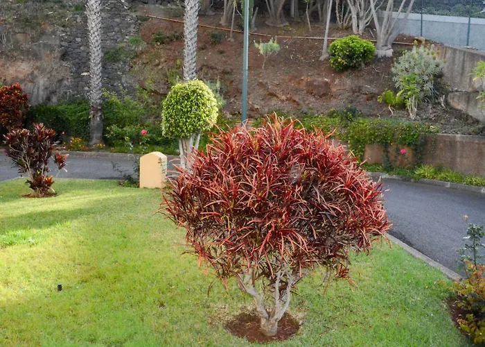 Vista Formosa Funchal (Madeira)