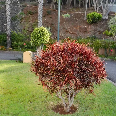 Vista Formosa Funchal (Madeira)